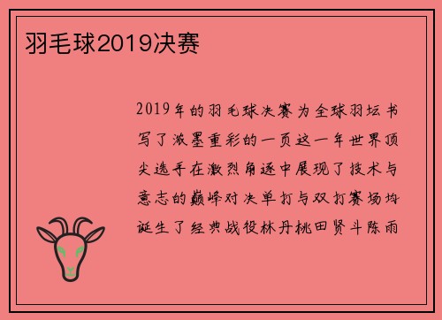 羽毛球2019决赛