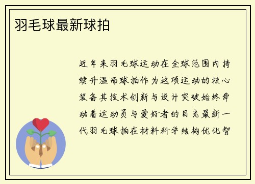 羽毛球最新球拍
